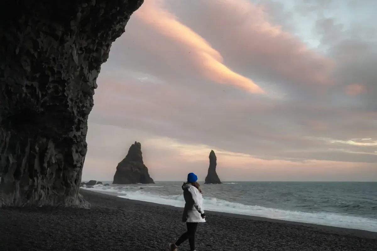 Icelandic horse on the south coast with mountains